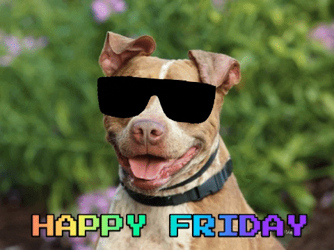 coolfriday.gif