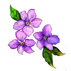 violetflowerspocketmirror.jpg