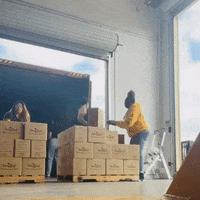 Inventory GIF.gif