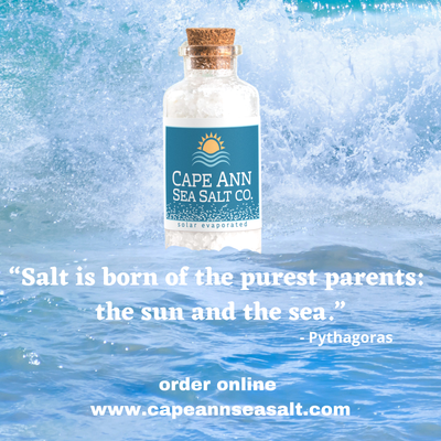 “Salt is born of the purest parents the sun and the sea.” (Instagram Post).png