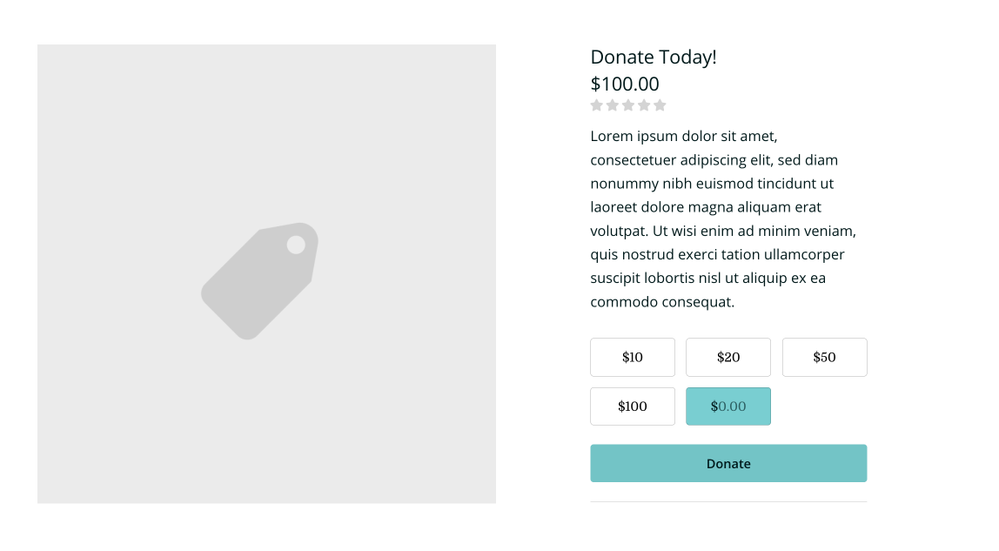 This is an example of a donation item with placeholder text.